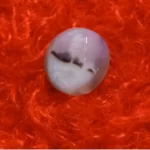 نگین انگشتر عقیق شجر قائن مصورطرح زمستان